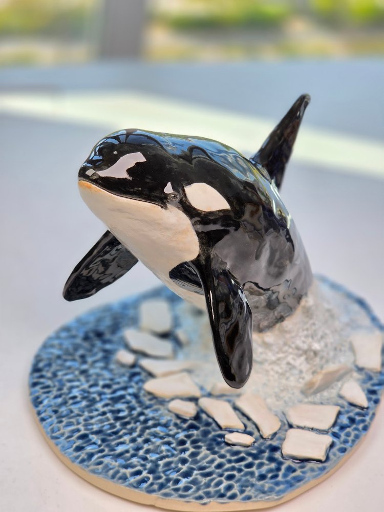Arctic Orca